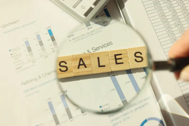 apa itu sales canvassing