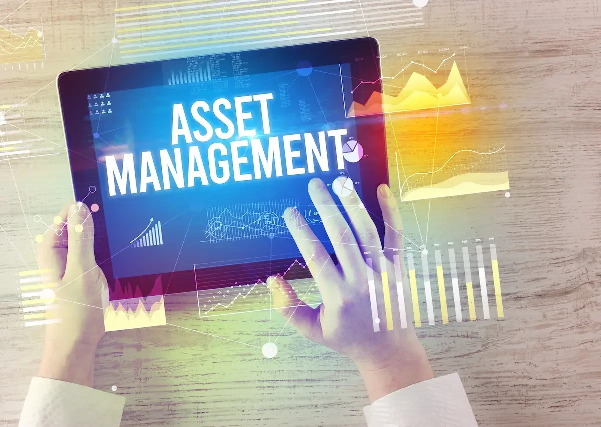 IT asset management